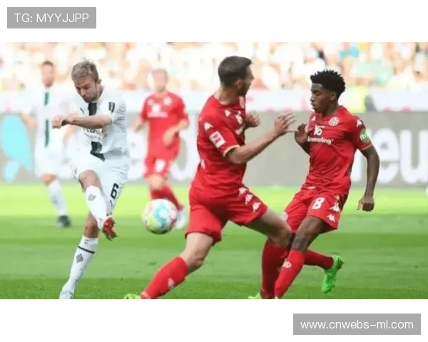 德甲降级球队回顾:汉堡、美因茨谁将重生? 德甲降级球队回顾:汉堡、美因茨谁将重生?