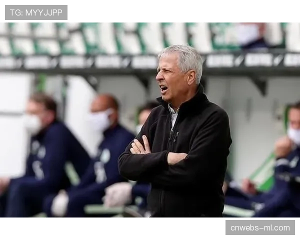 前德甲球员涉嫌违规投注被调查，德国足协启动纪律程序